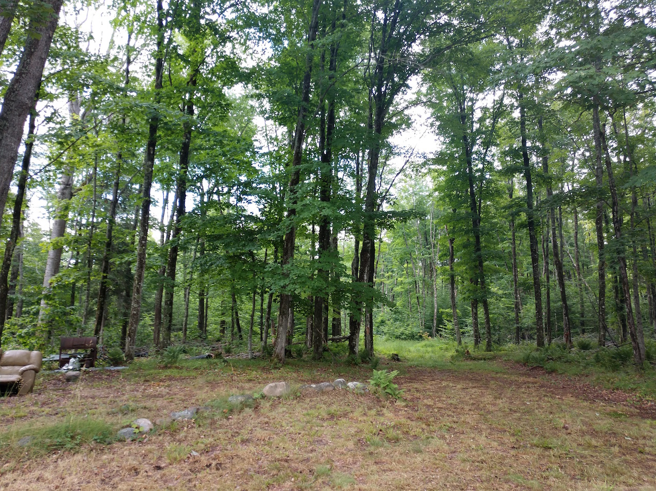 IMG_20190727_161103724