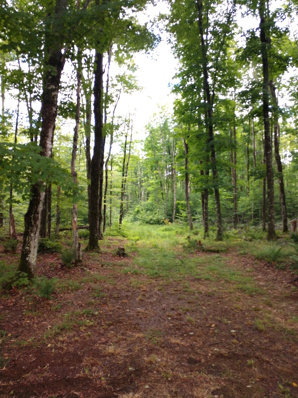 IMG_20190727_161239927