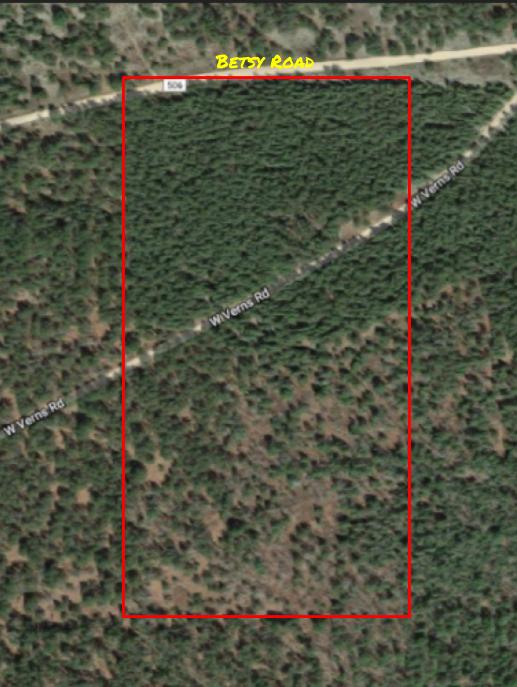 Betsy Property
