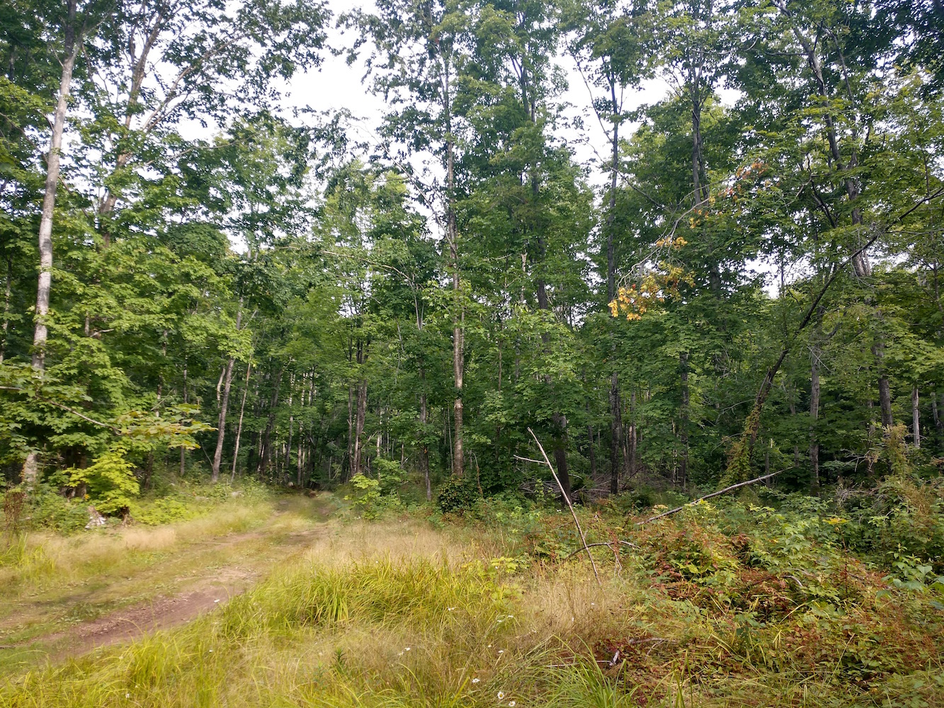 IMG_20200822_102932591_HDR