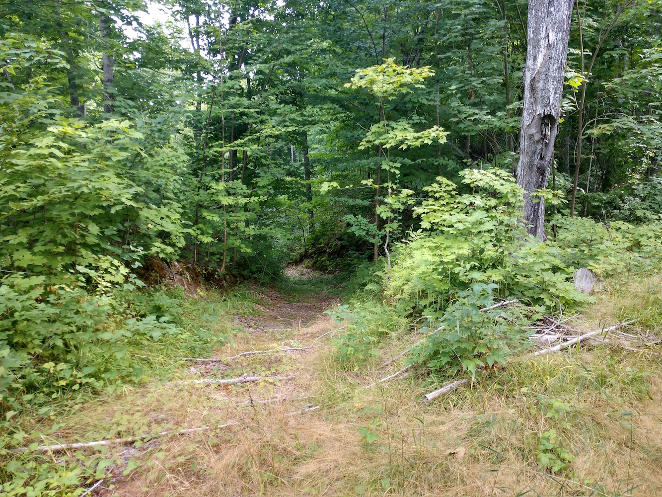 IMG_20200822_102946045_HDR