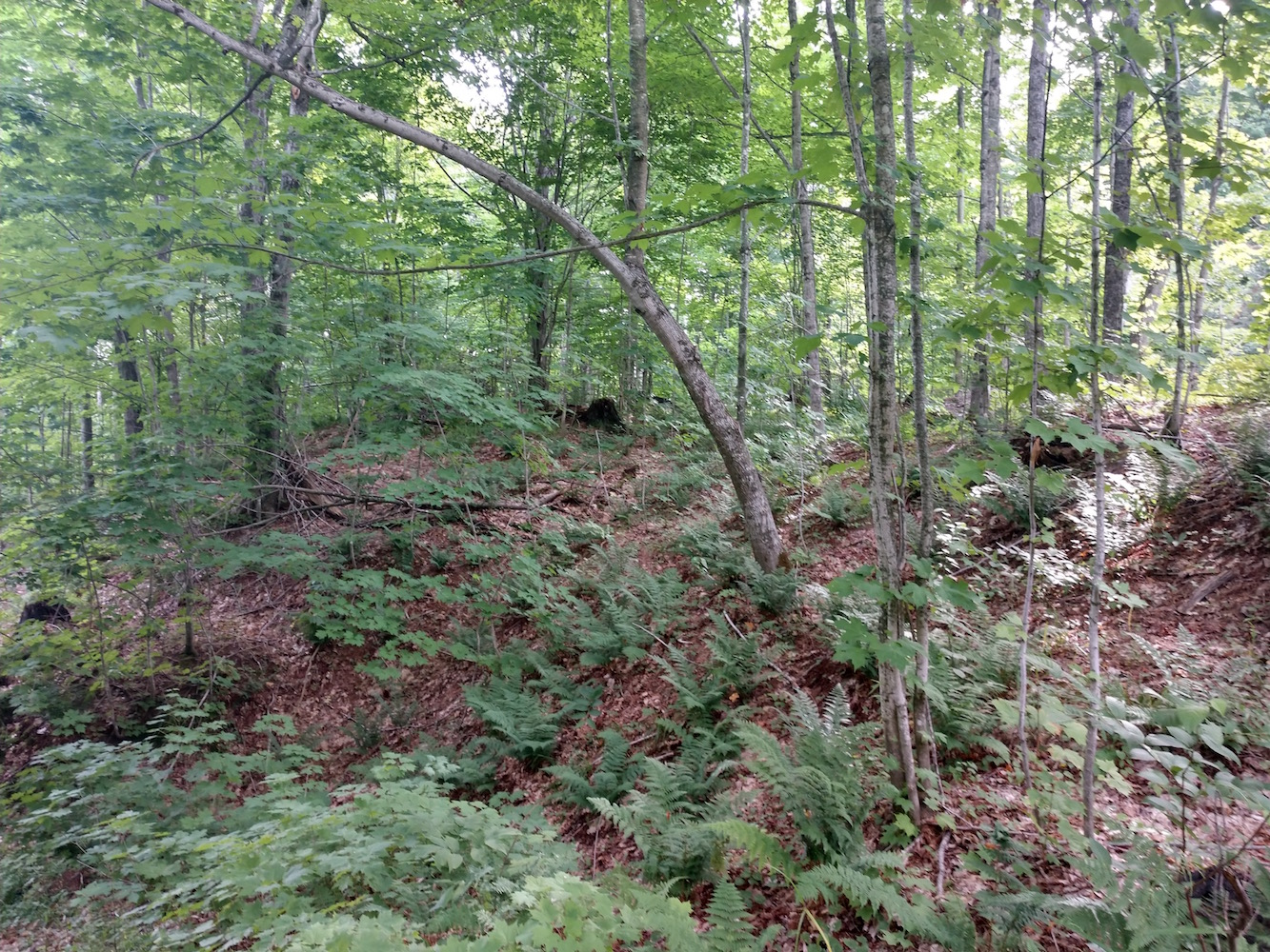 IMG_20200822_103002998_HDR