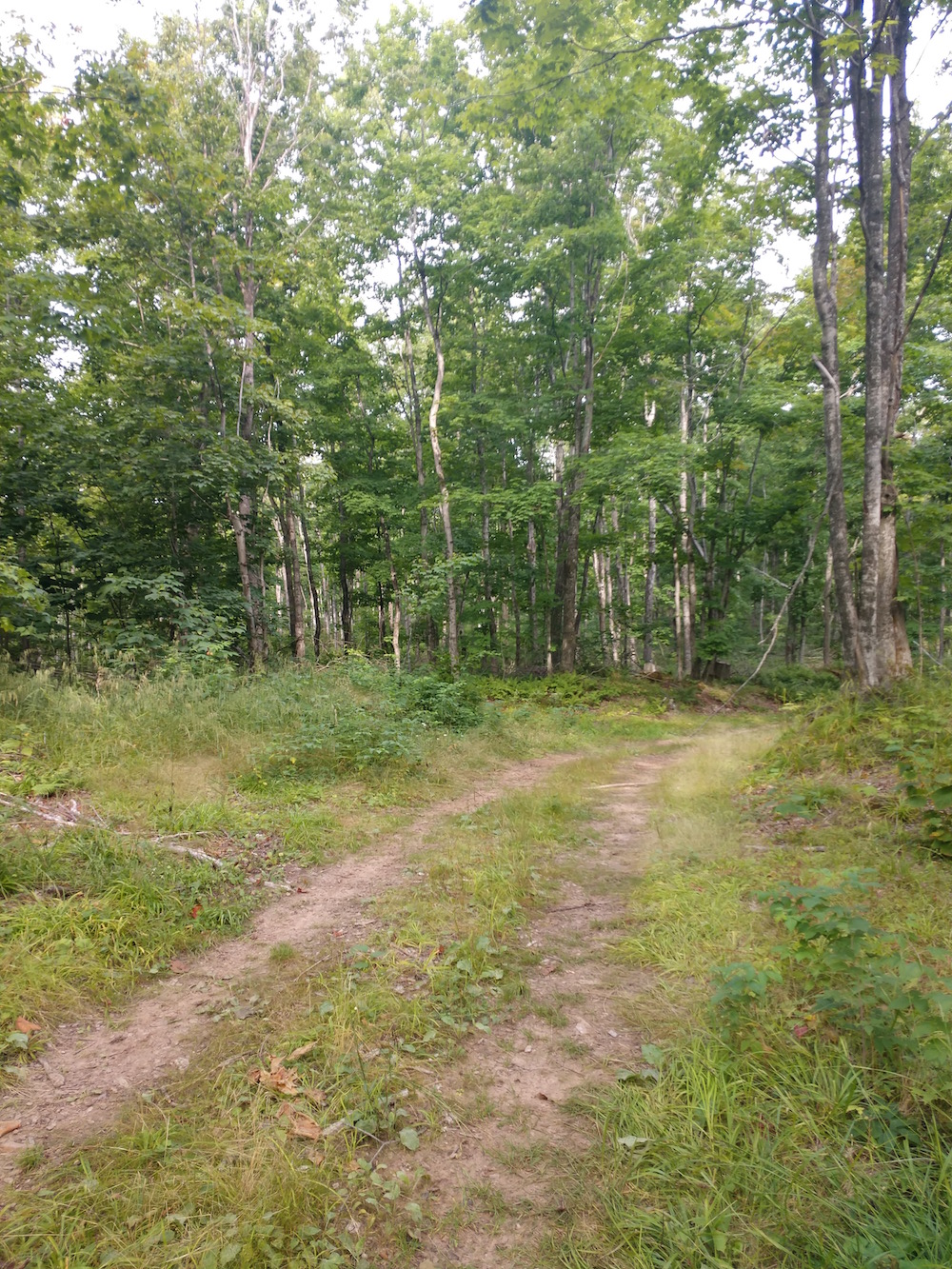 IMG_20200822_103212884