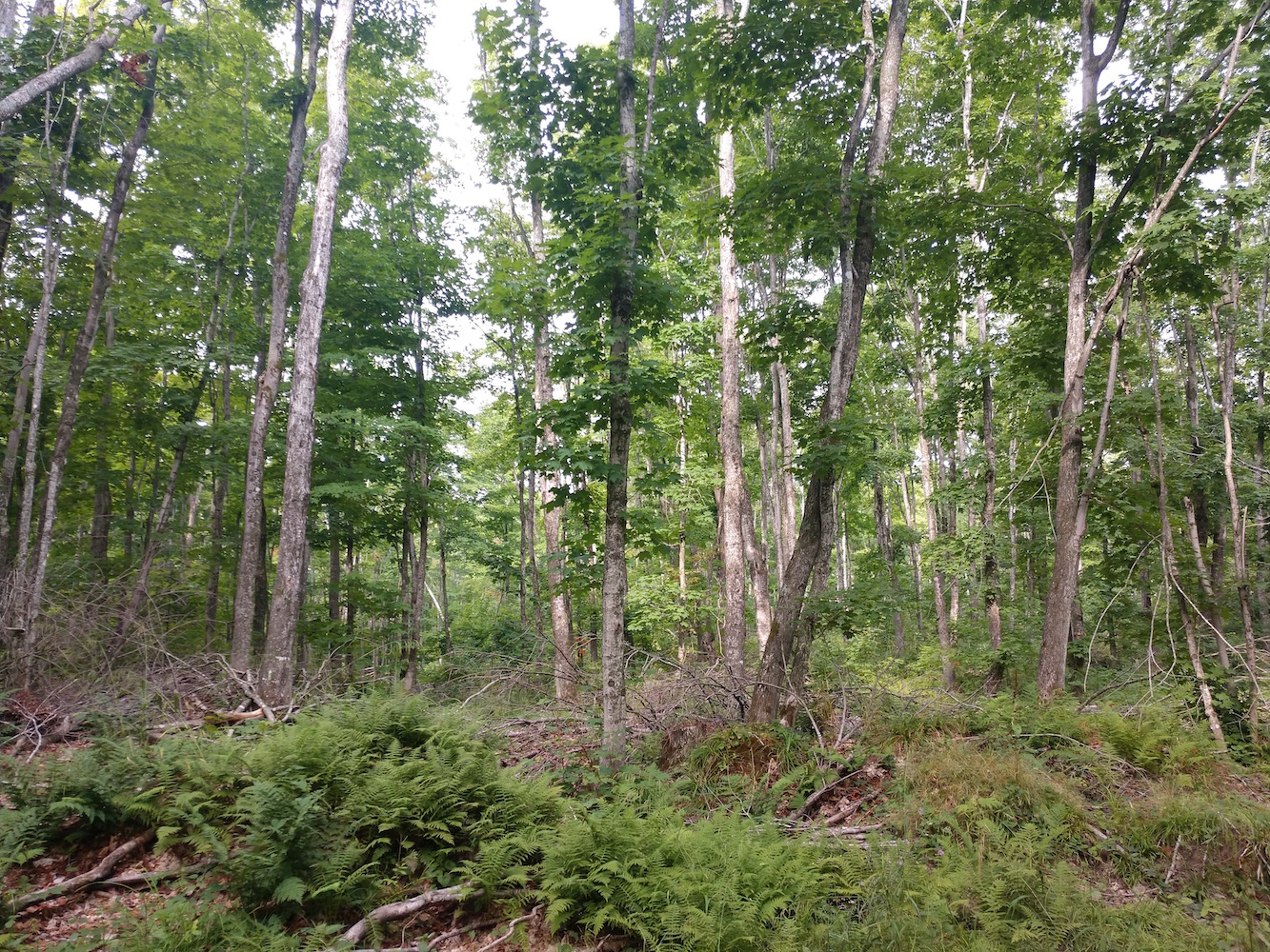 IMG_20200822_103258716