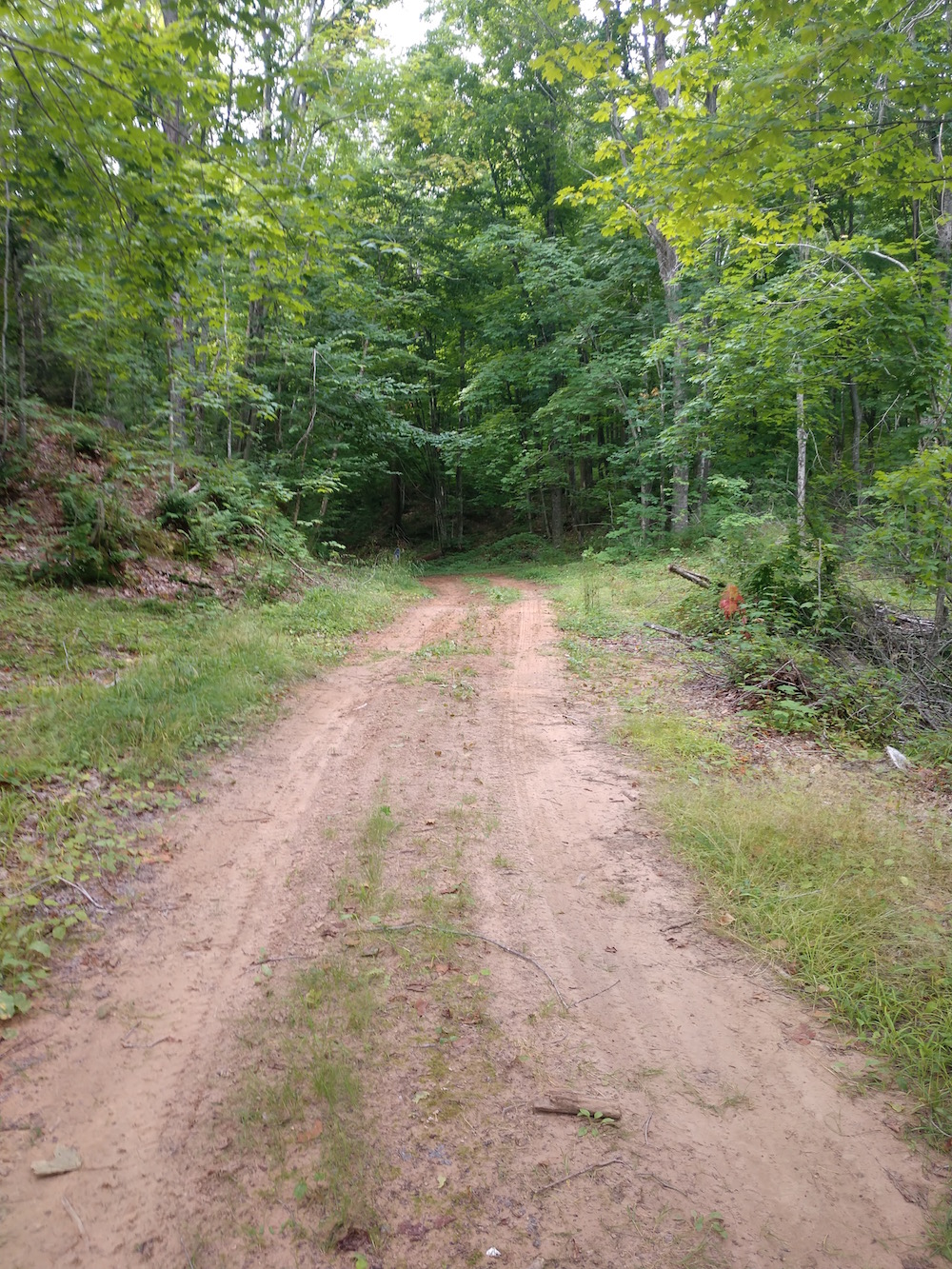 IMG_20200822_103515214