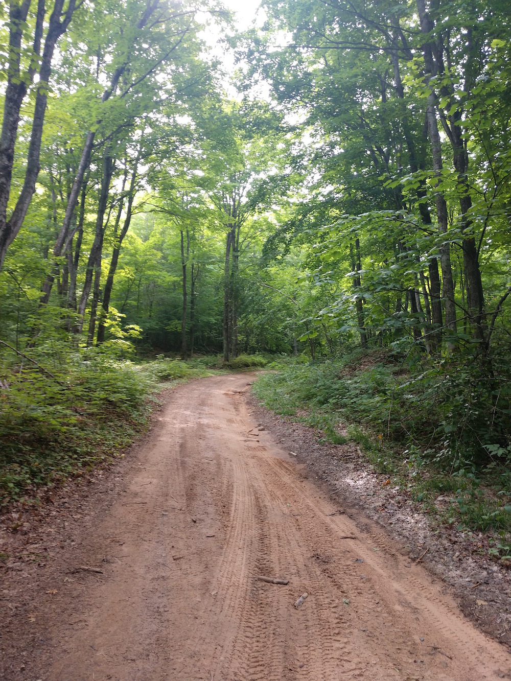 IMG_20200822_103600685