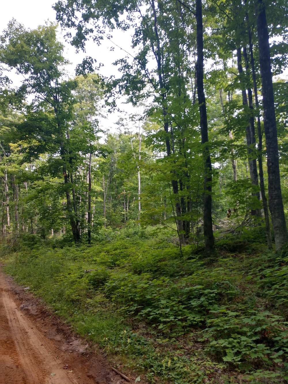 IMG_20200822_103639892_HDR