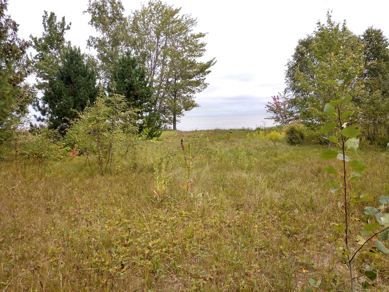 IMG_20200827_131957347_HDR