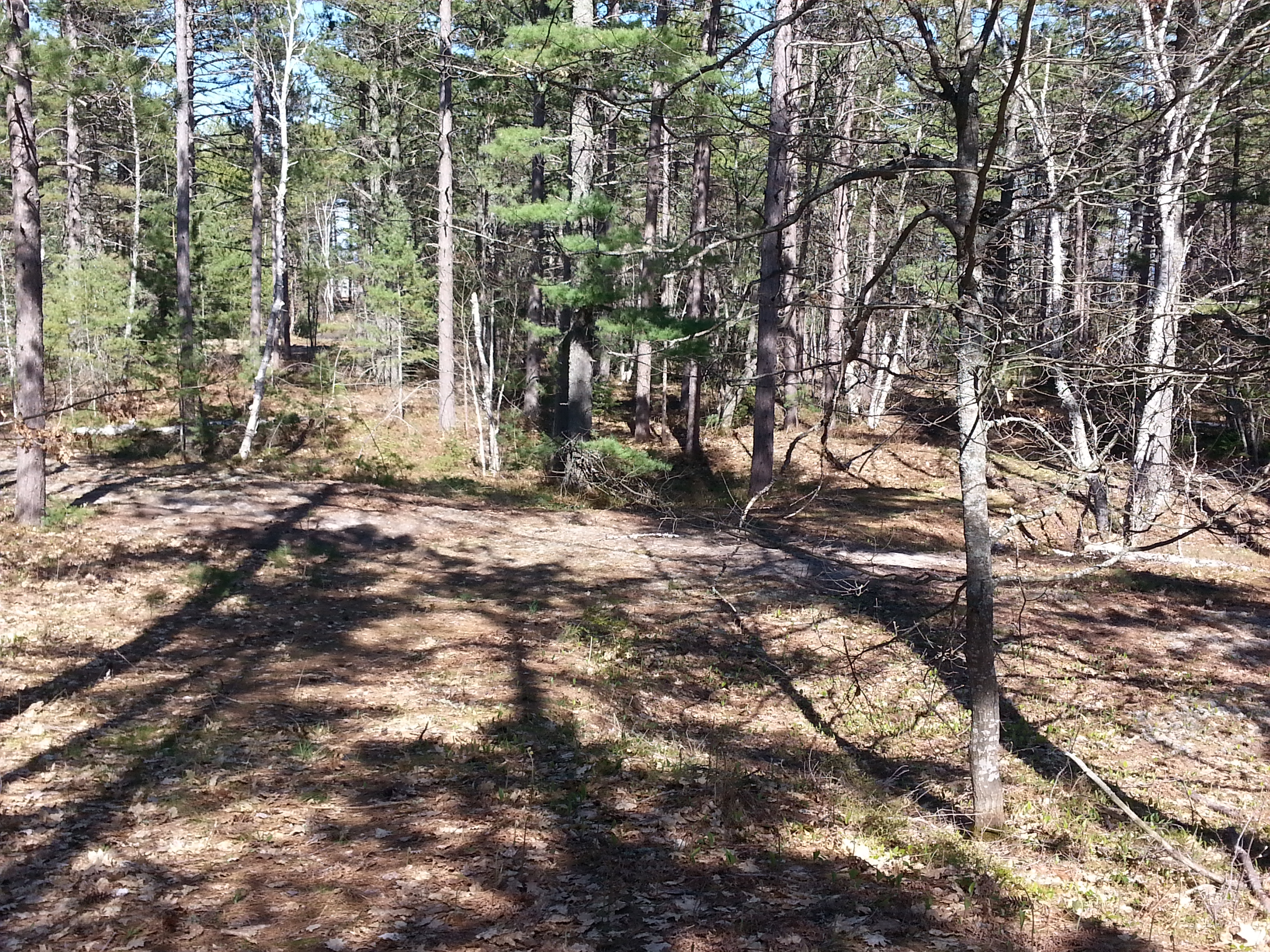 20150522_165425