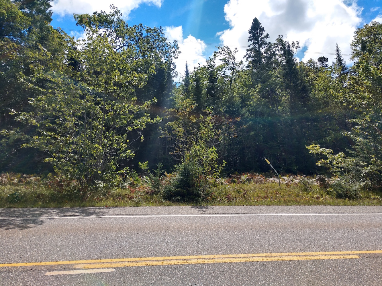 IMG_20200907_121926011_HDR