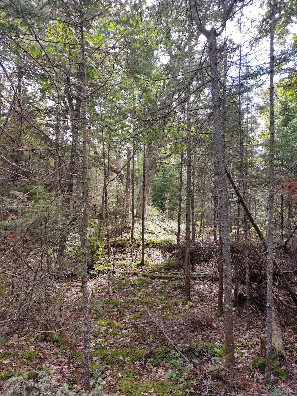 IMG_20200907_122105145_HDR