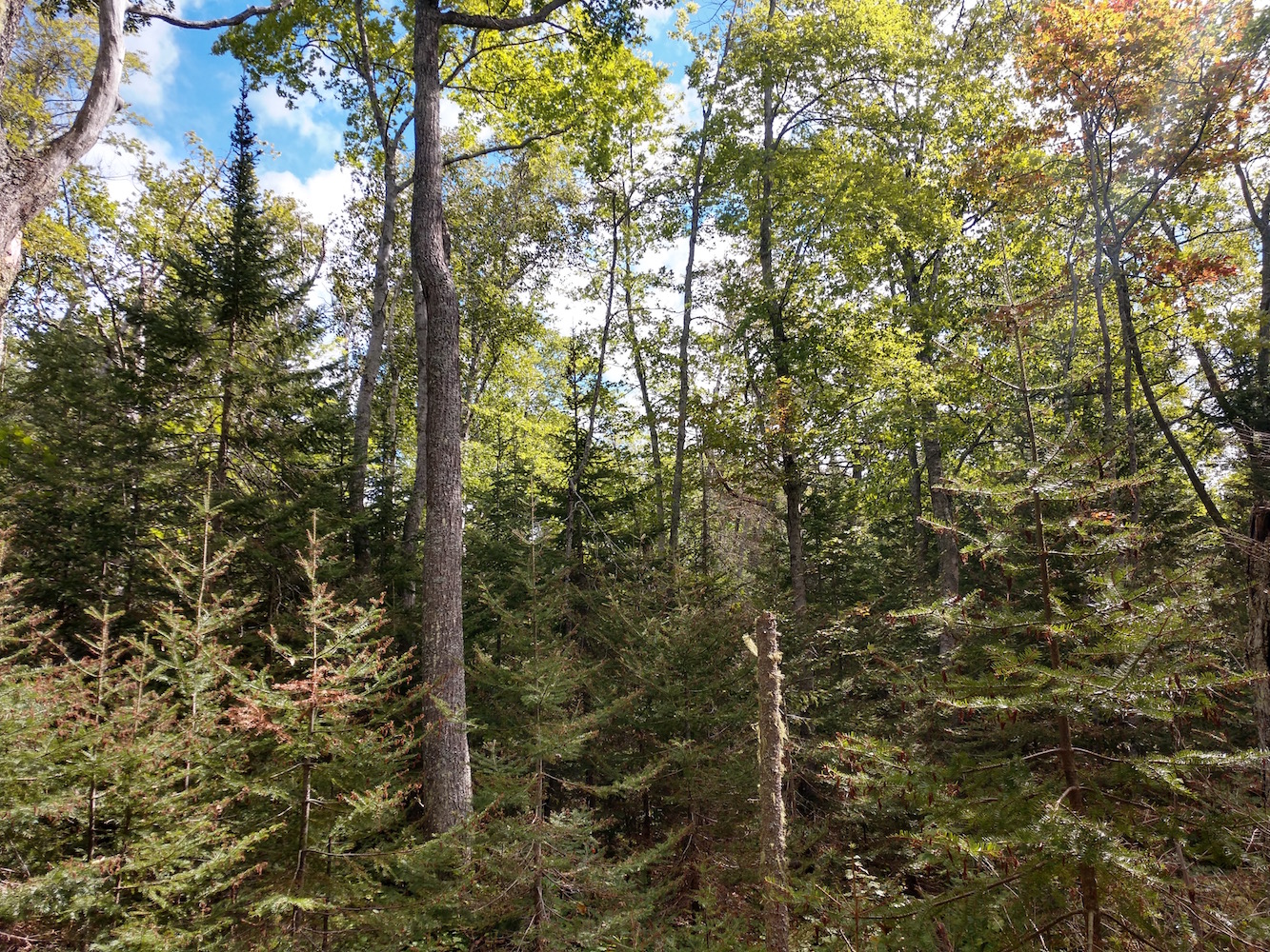 IMG_20200907_122132662_HDR