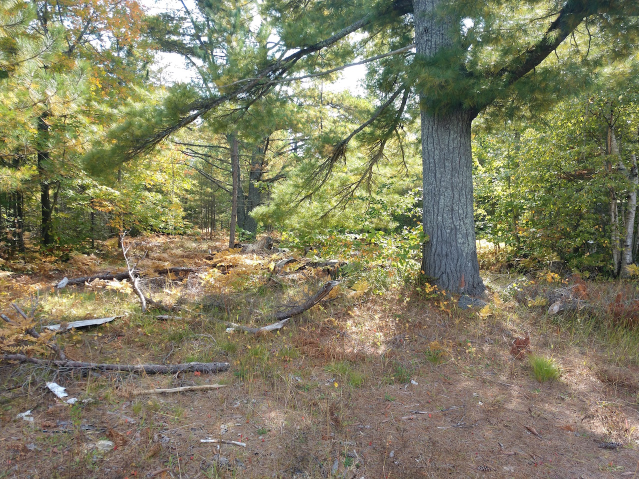 IMG_20200925_145204948