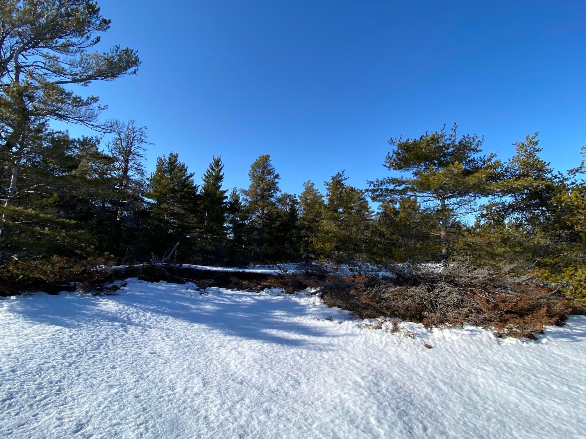 Whitefish Point Sub Lot 39 & 16