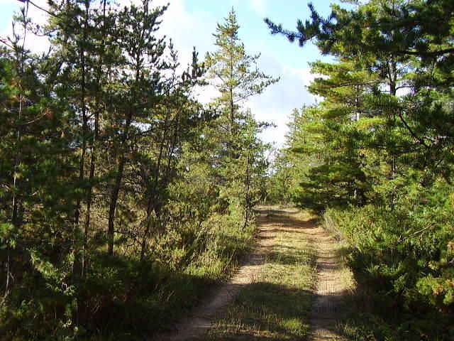 Whitefish Point Sub Lot 39 & 16