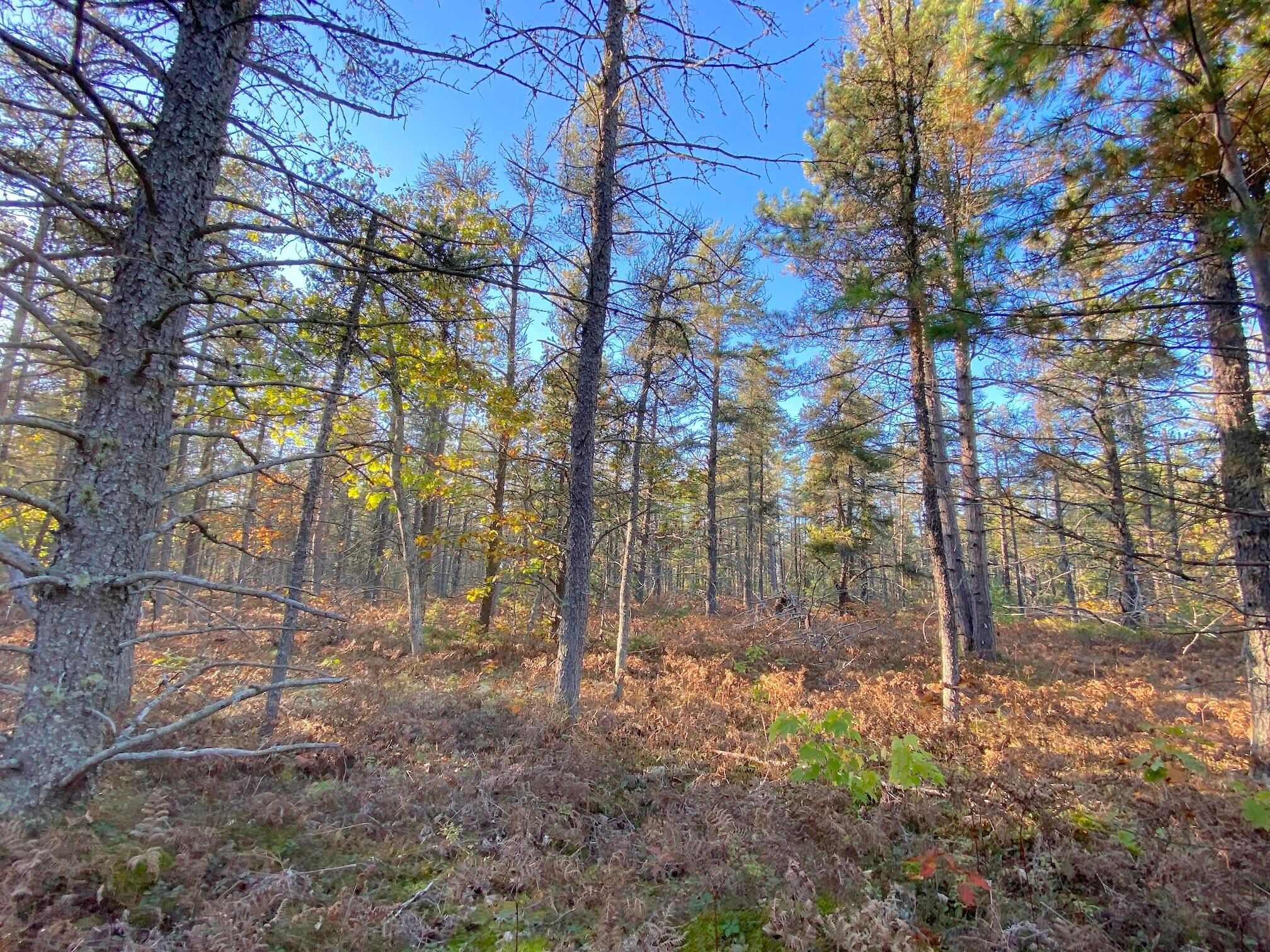 20211015202101413462000000-o