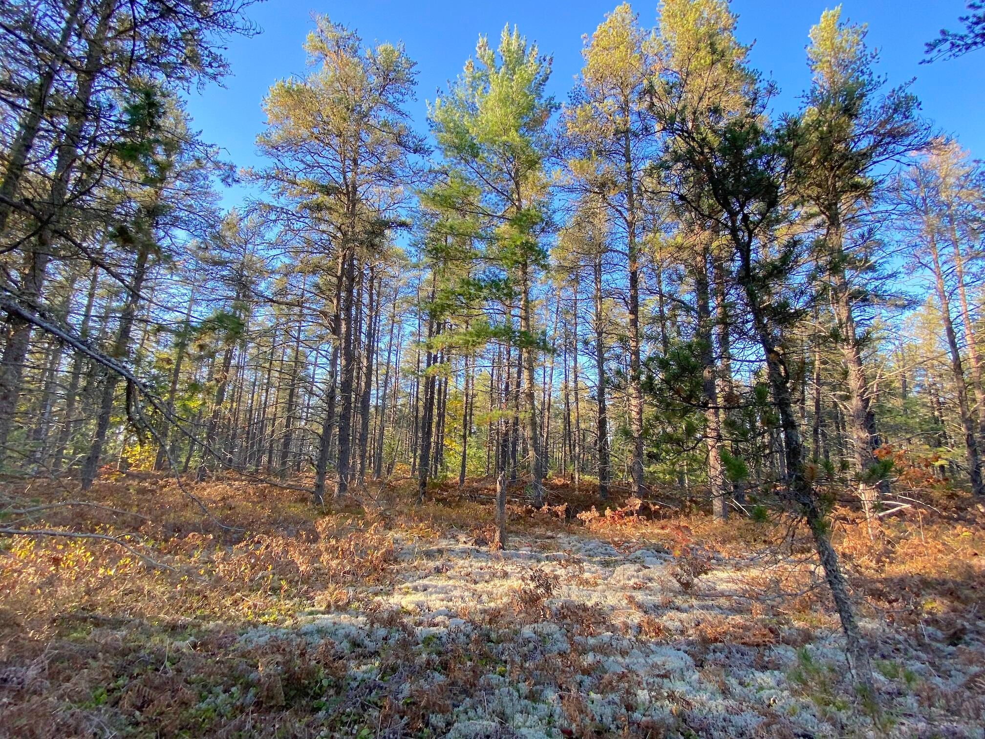 20211015202108026130000000-o