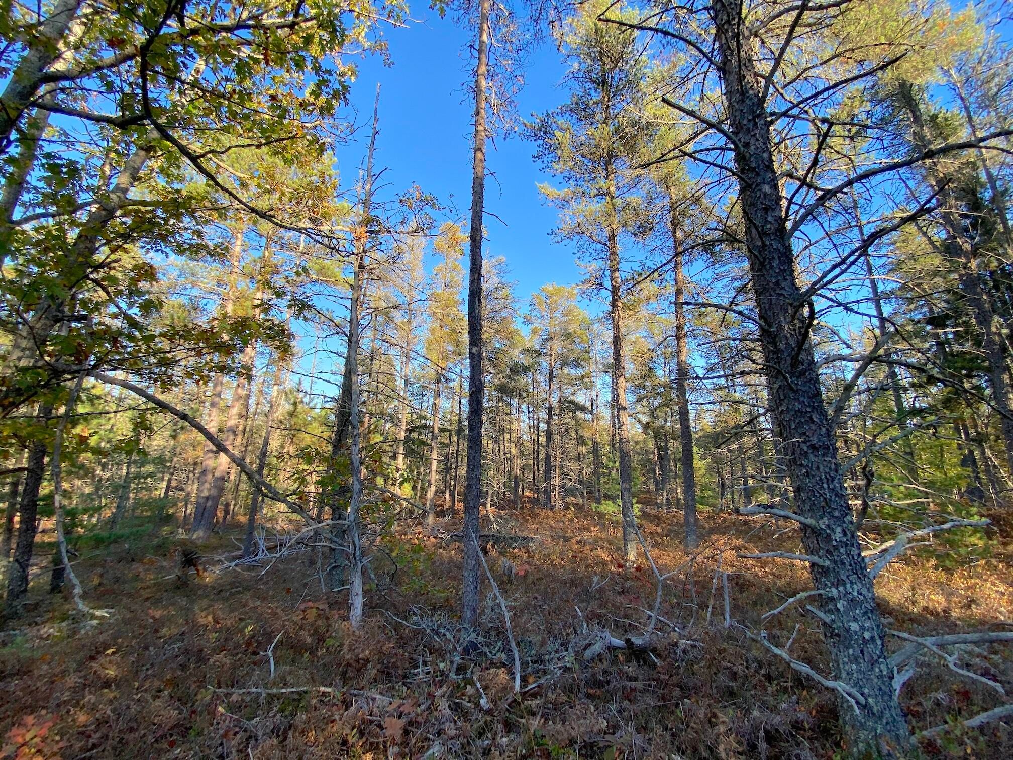 20211015202114005211000000-o