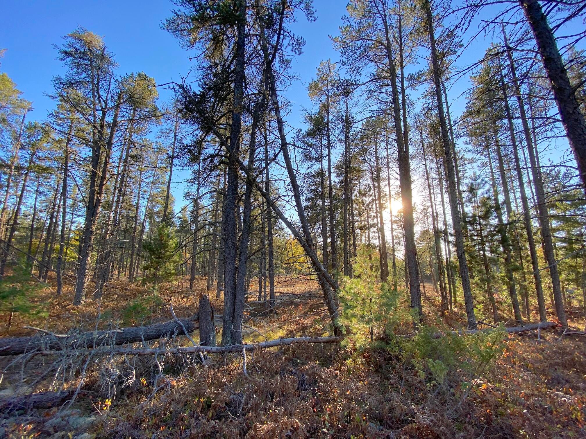 20211015202119261023000000-o