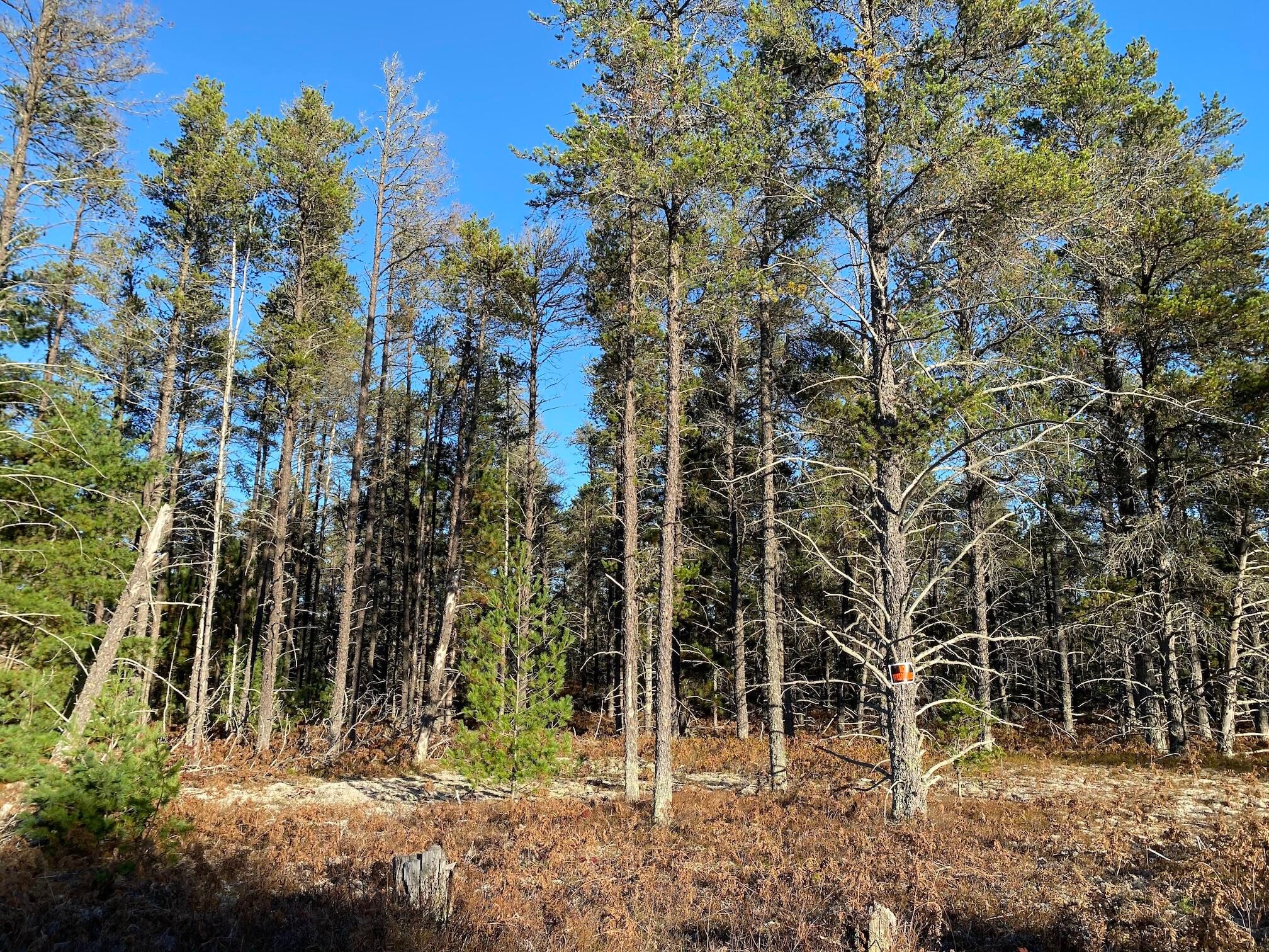 20211015202125353655000000-o