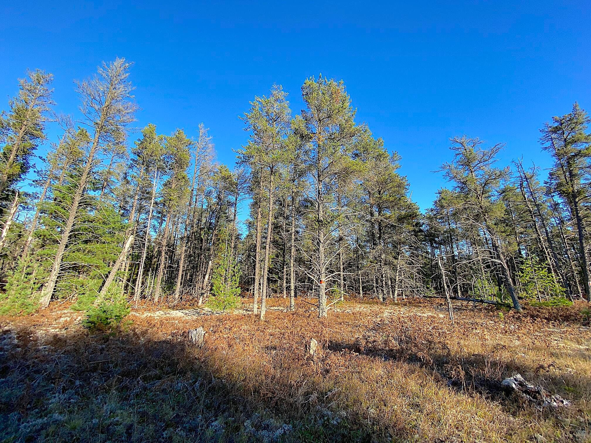 20211015202130733671000000-o