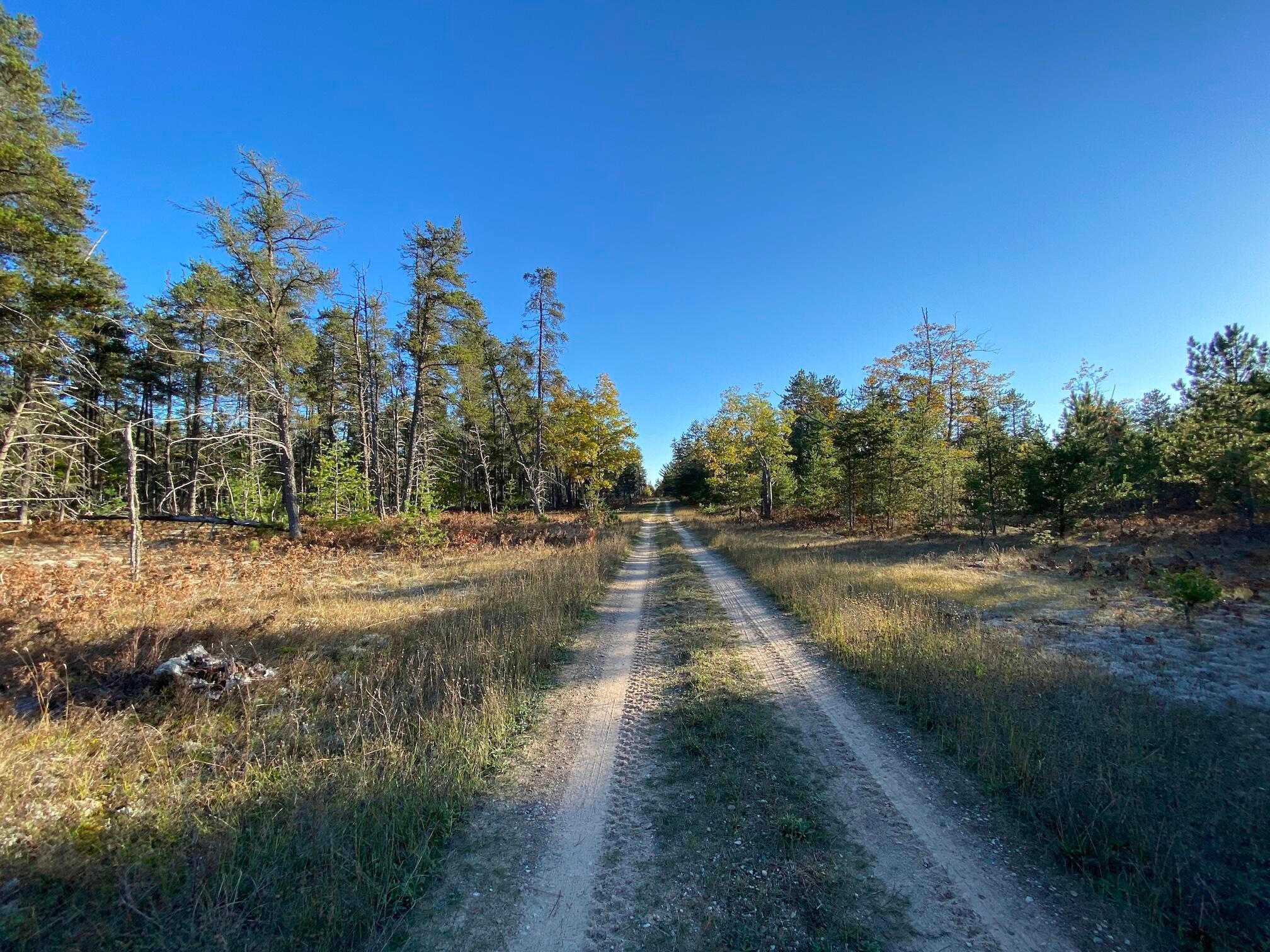 20211015202134859150000000-o