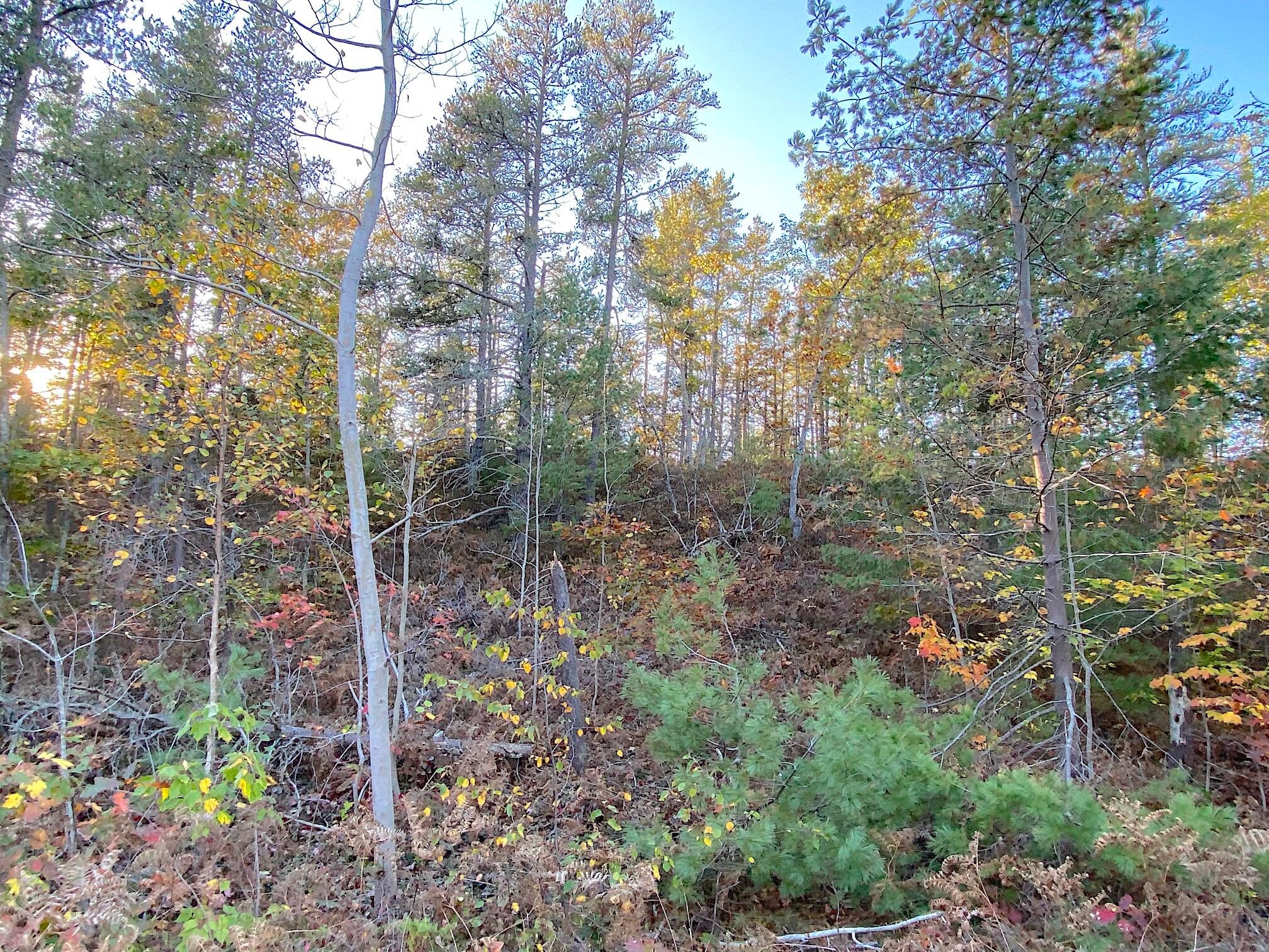 20211015202140051865000000-o