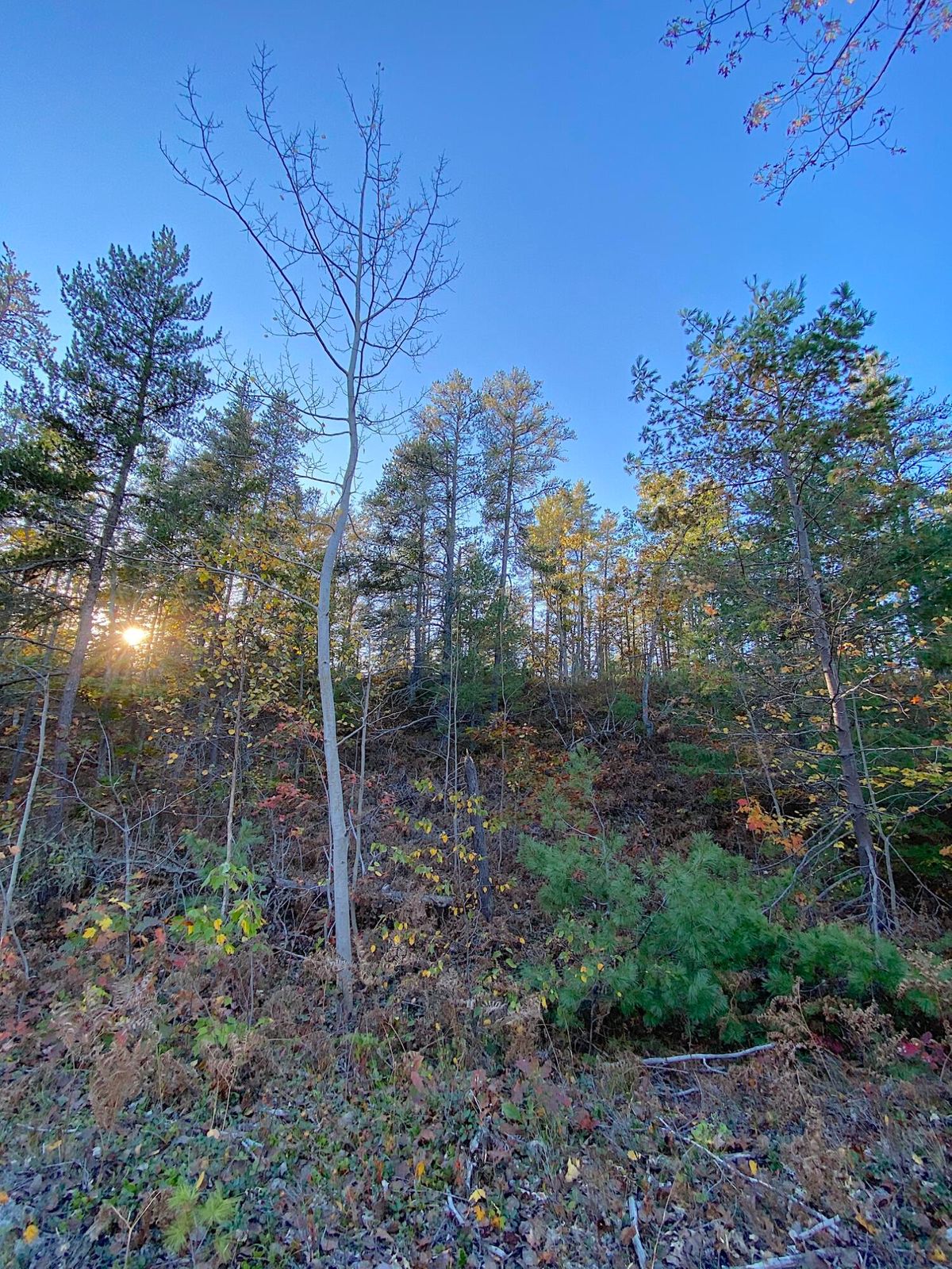 20211015202144974140000000-o