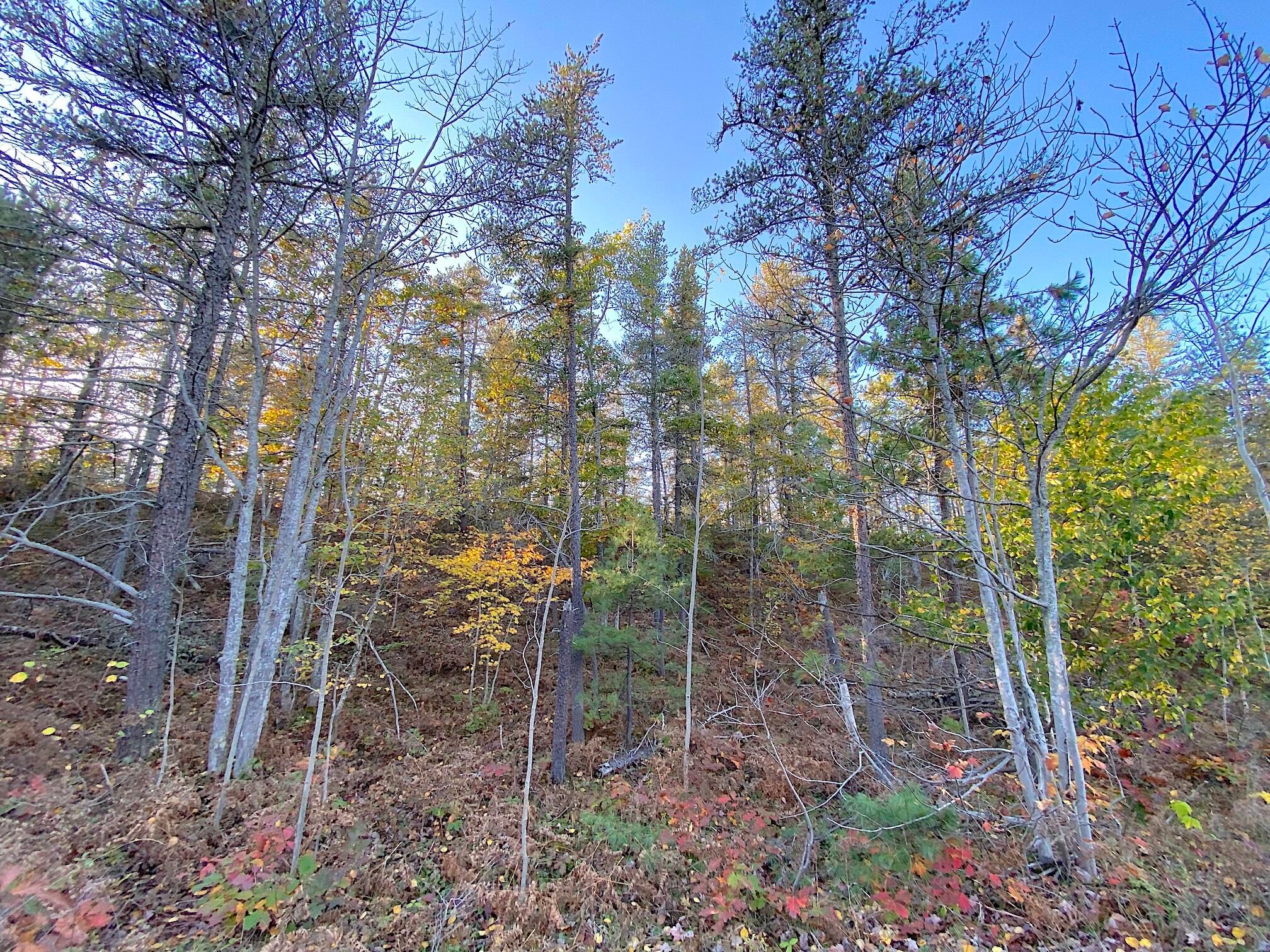 20211015202150966052000000-o