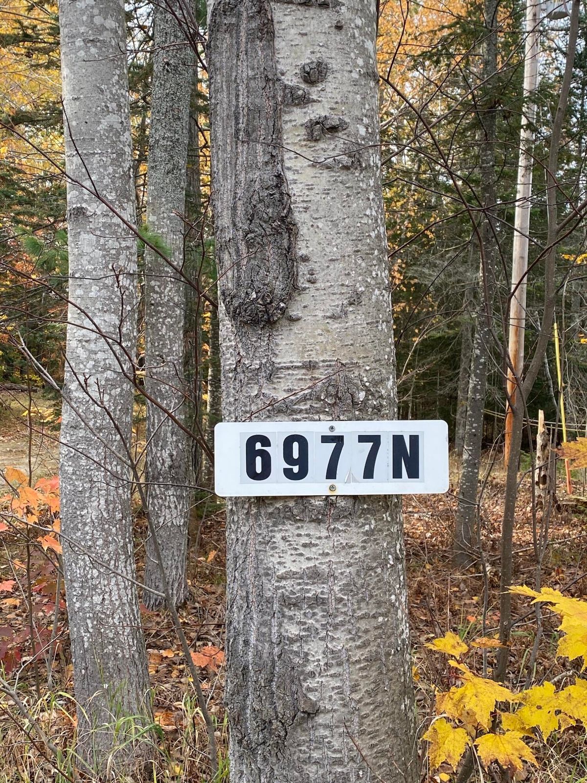 20211029141920397710000000-o