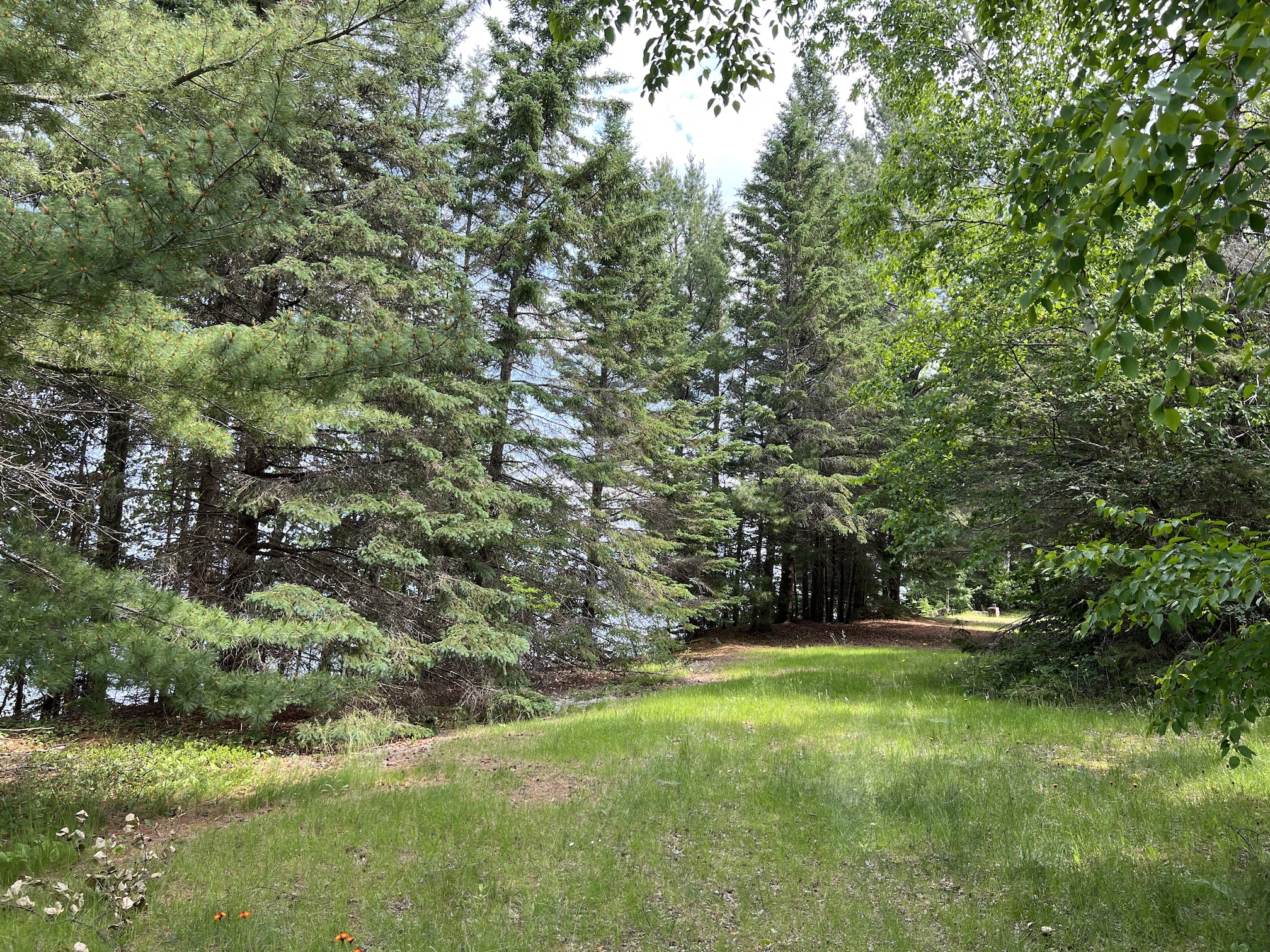 IMG_0075