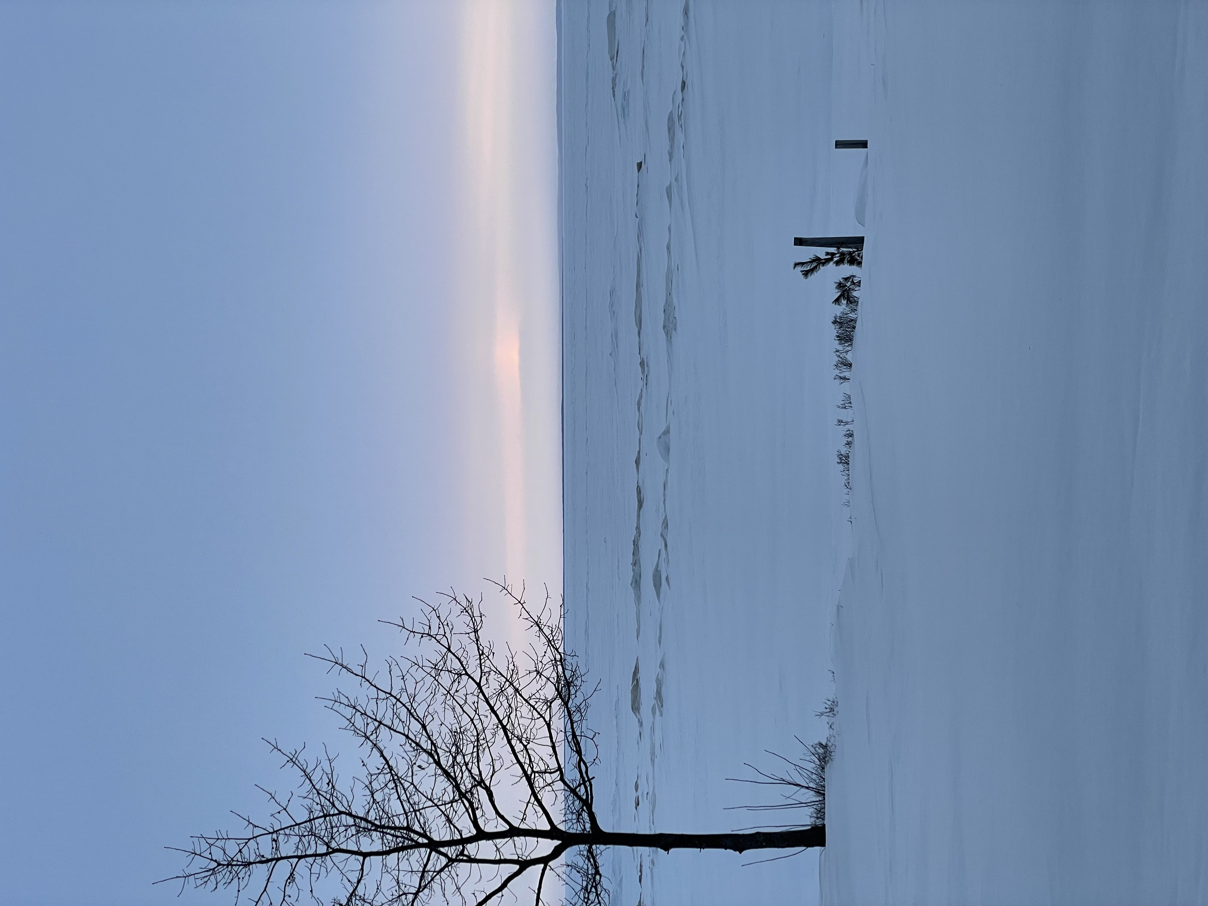 IMG_6515