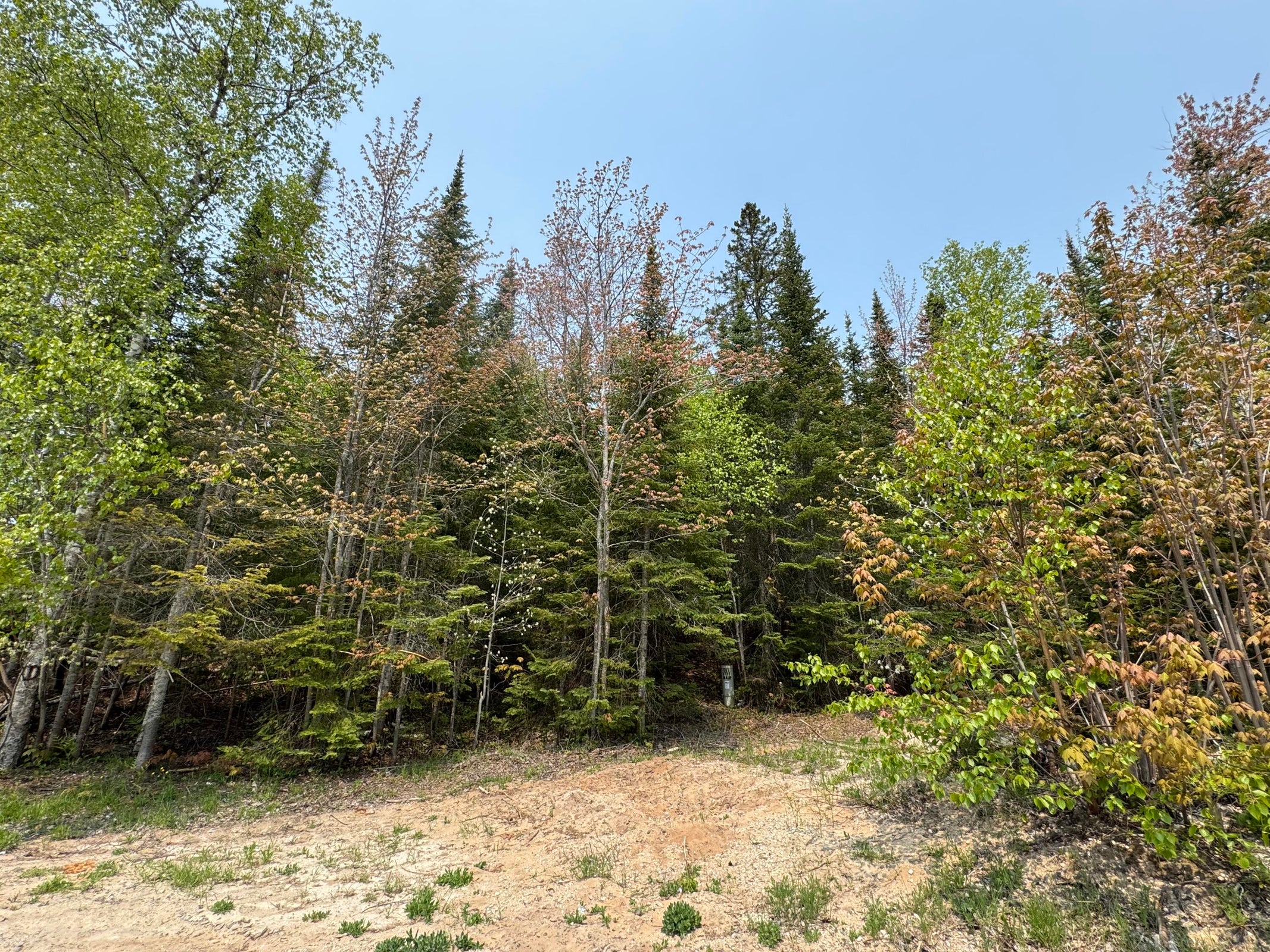 20250602182051342966000000-o