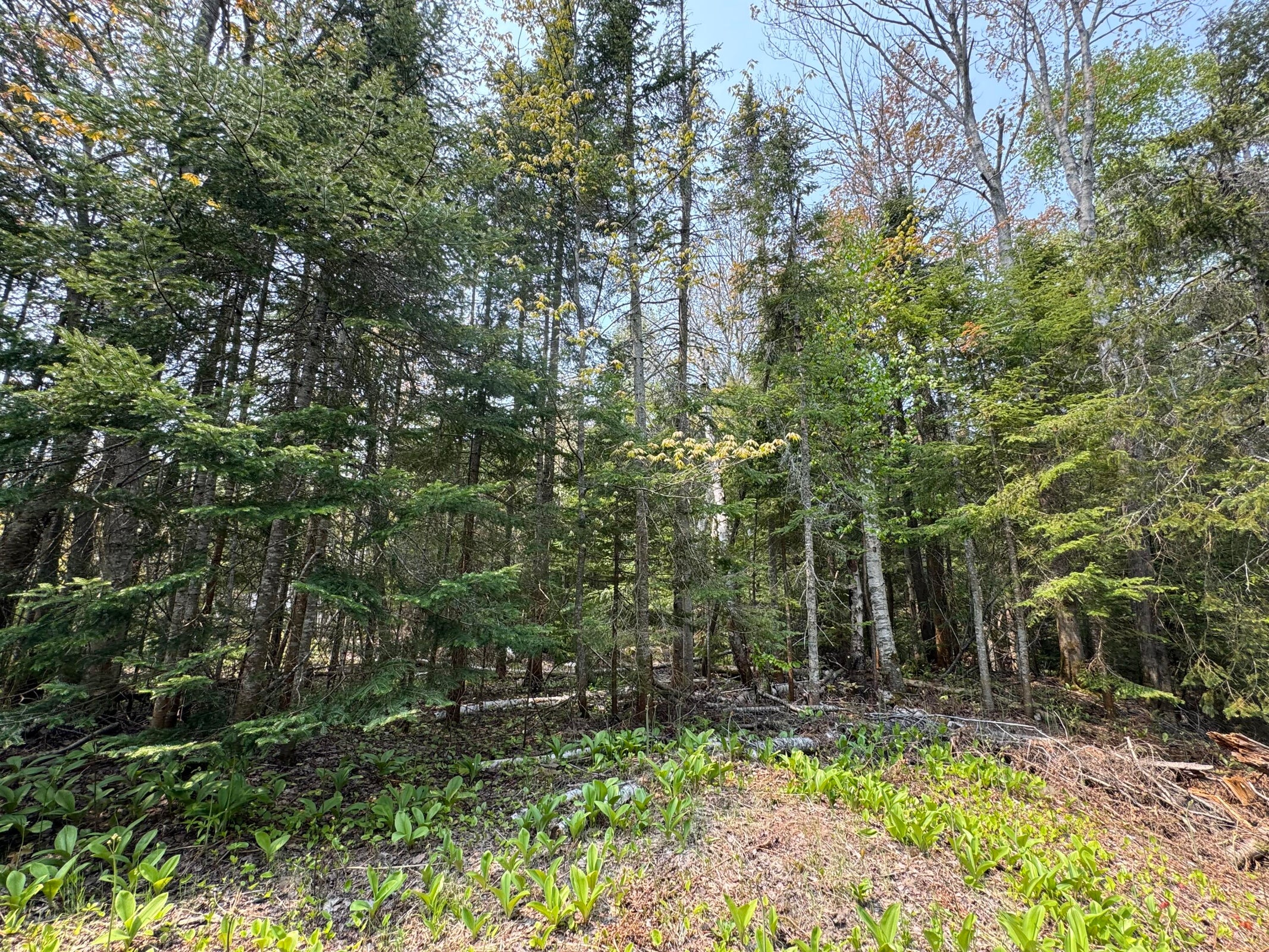 20250602182330282184000000-o