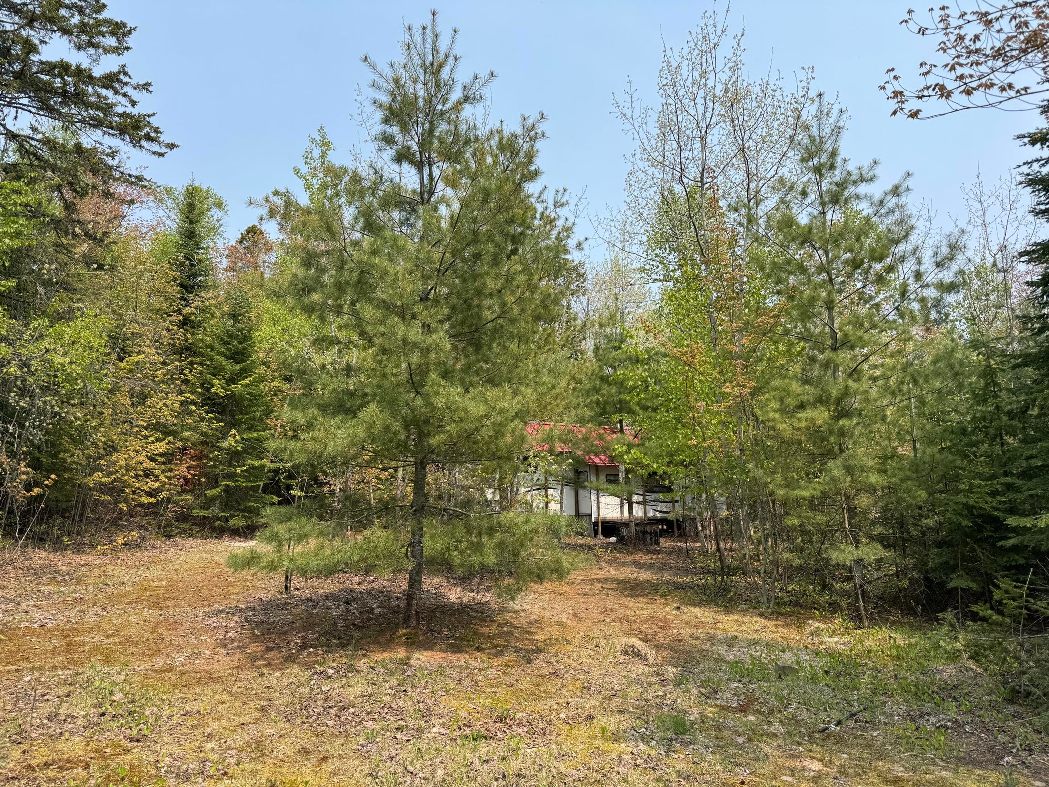 20250602182641911428000000-o