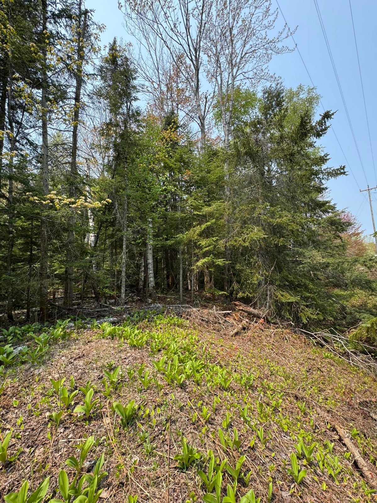 20250602183003842263000000-o