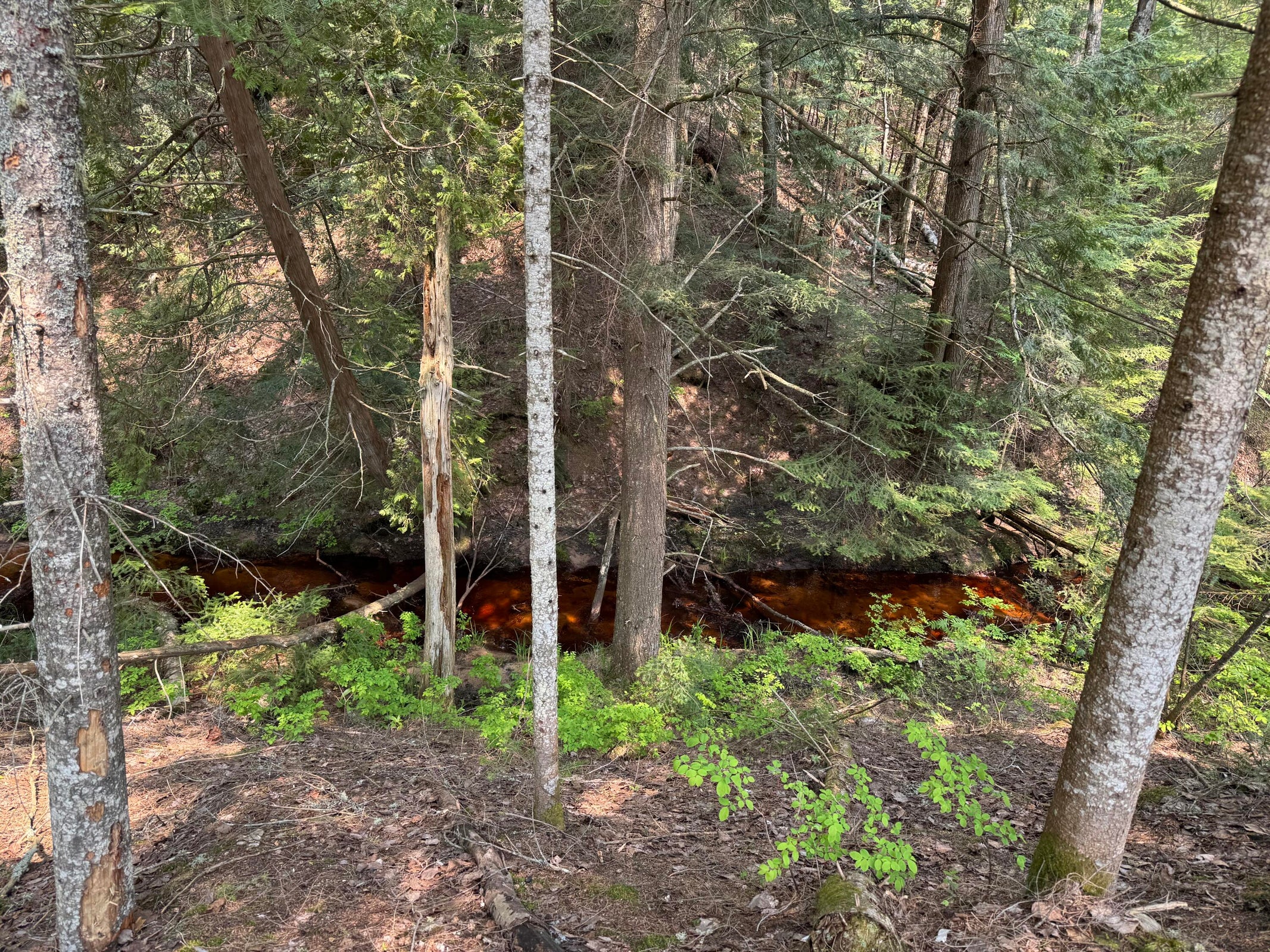 20250602183232051738000000-o