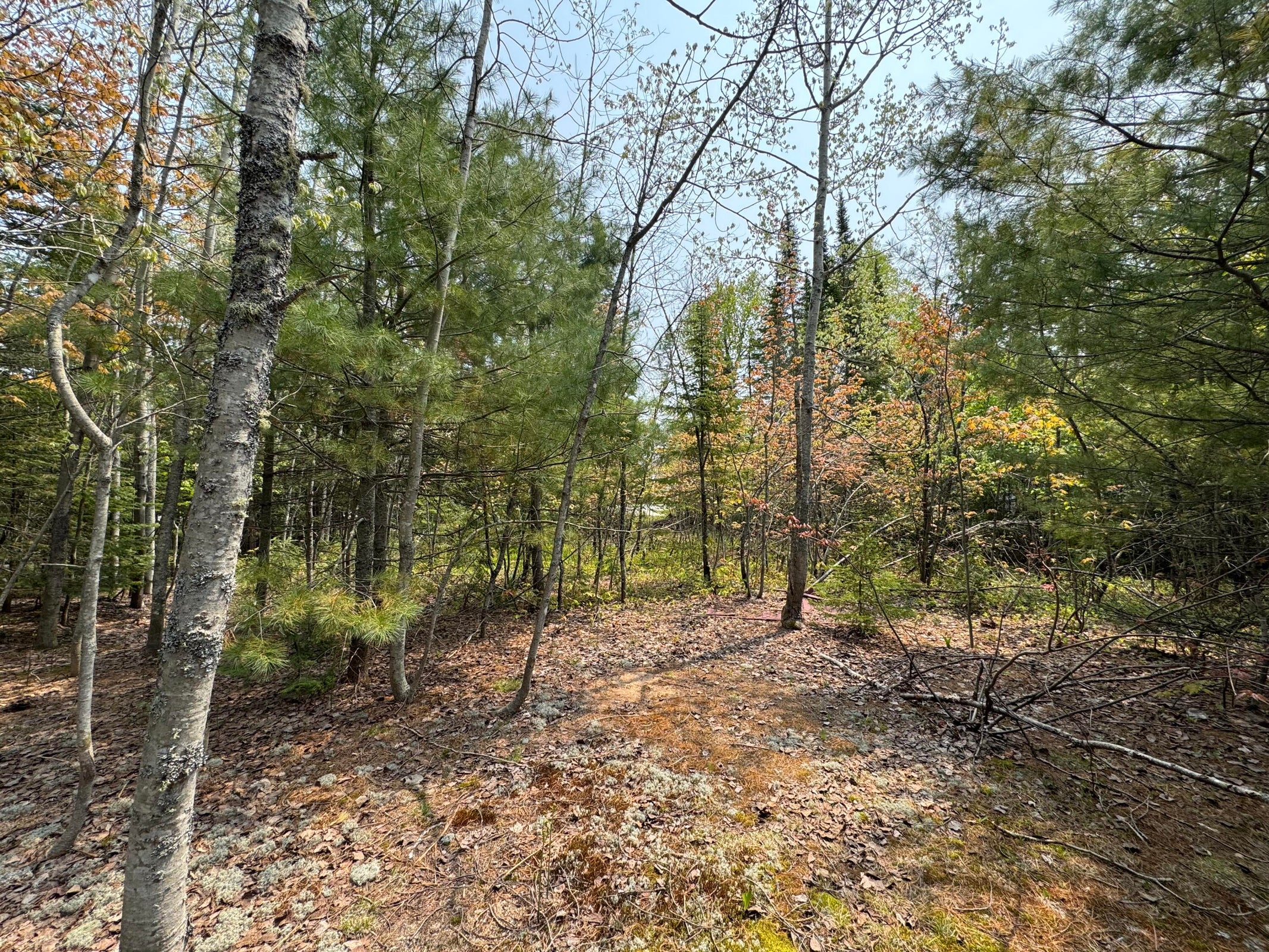 20250602183511110493000000-o