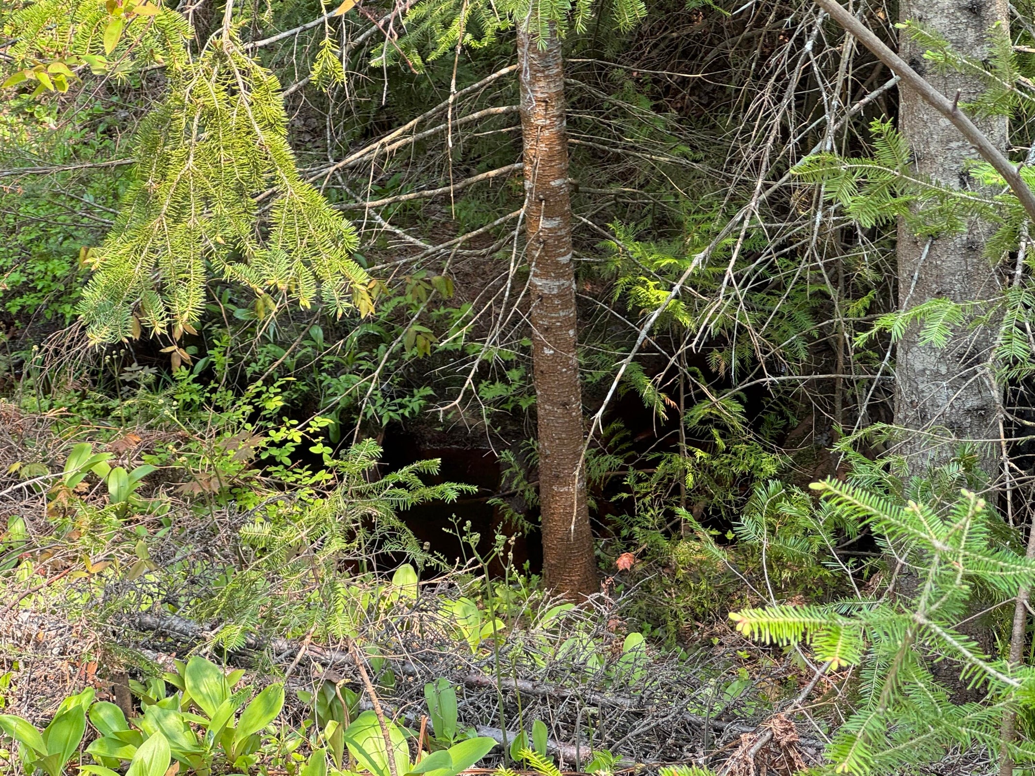 20250602183534218328000000-o