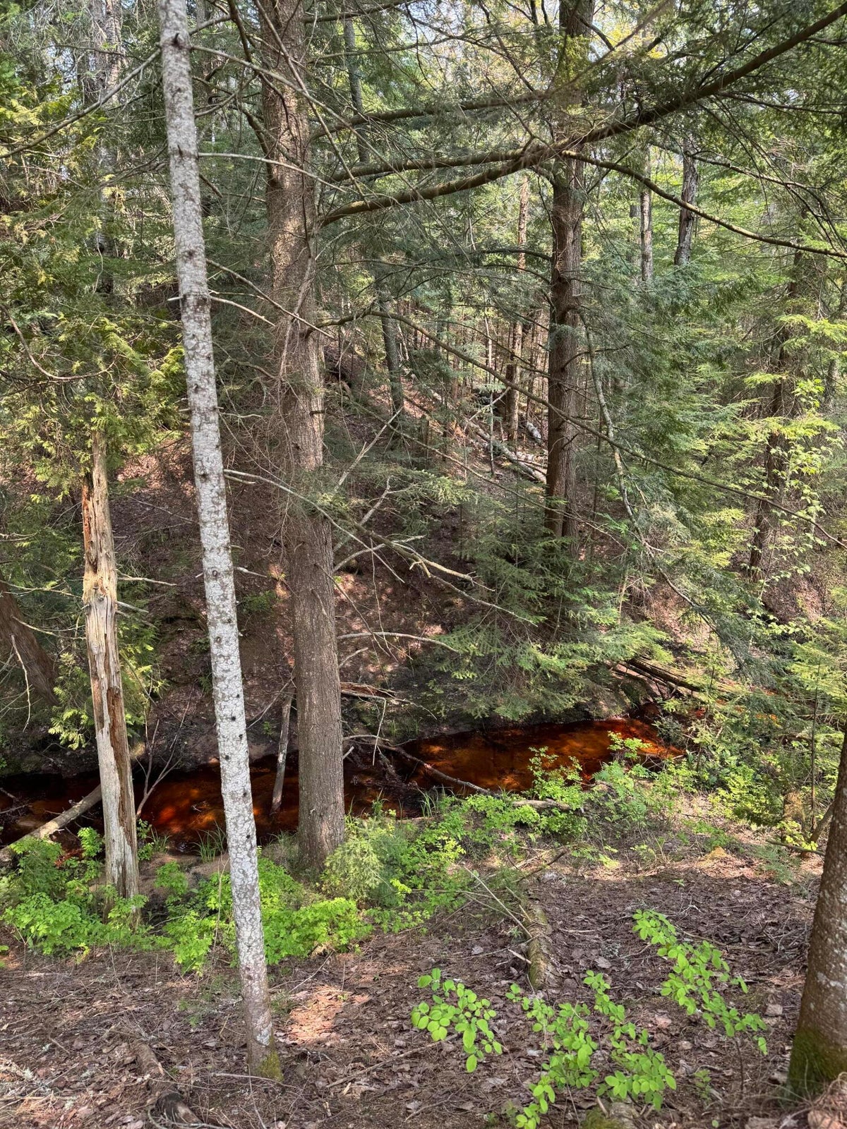 20250602183731397450000000-o