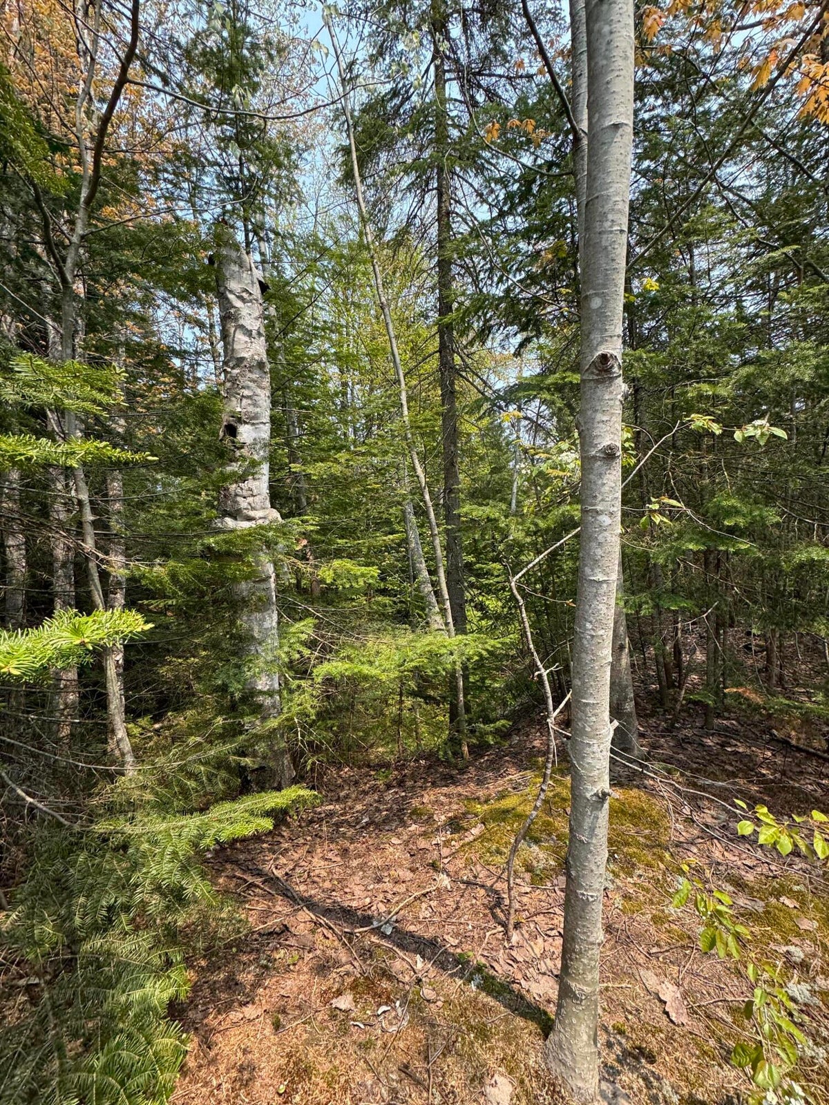 20250602183734846859000000-o