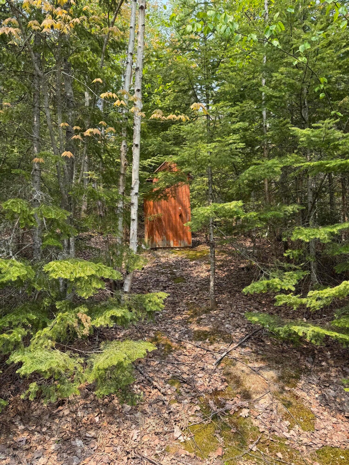 20250602183823557761000000-o